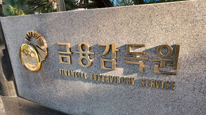 금감원, '일임식 자산유보형' 공동재보험 신규 도입