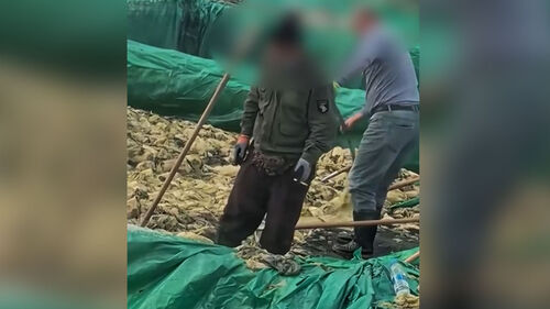 담배 물고 침까지 퉤…"한국도 수입하는 식품" 충격 영상