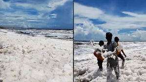 "눈 내린 줄" 해변 뒤덮은 거품…"만지지 말라" 경고 왜?