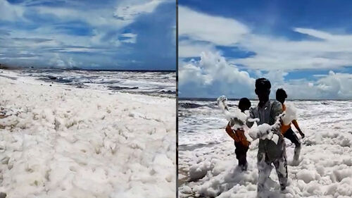 "눈 내린 줄" 해변 뒤덮은 거품…"만지지 말라" 경고 왜?