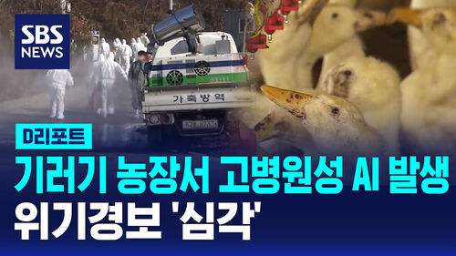 양휴창 디리디리