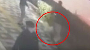 킥보드 돌진에 반려견 '쾅'…"시력 나빠서 그만" 황당 답변