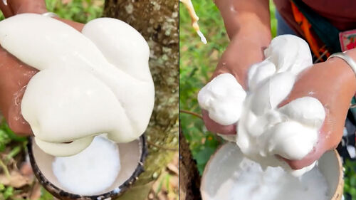 조회수 2천만 회 육박…"한국인들 난리" 영상 봤더니