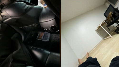 "차에서 고양이와 1년 반 버텼다"…청년 근황