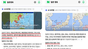 네이버 화면에 뜬 '독도는 일본 영토'…논란 일파만파