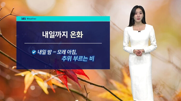 [날씨] '추위 부르는' 비 온다…중부·호남 5∼10mm