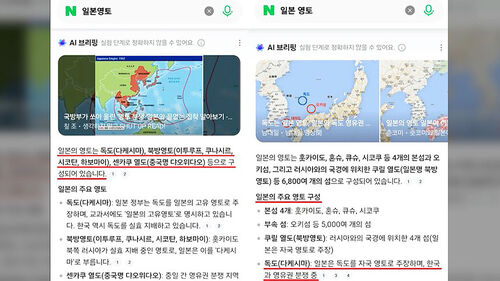"독도는 일본 영토" 네이버 답변 깜짝…부랴부랴 조치