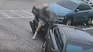 "살짝 건드려" 한패였다…"건당 100만원" 배달기사들 꼼수