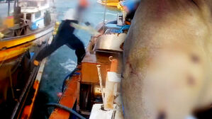 "어디서 왔어" 침 뱉고 찰싹…"배 째라식" 결국 텃세였다