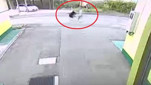 주택가 발칵 뒤집은 여성 비명…느닷없이 나타나 덮쳤다