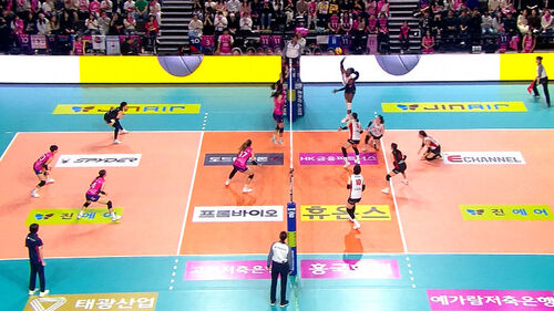 프로배구 페퍼저축은행, 흥국생명 완파…'단독 선두' 도약