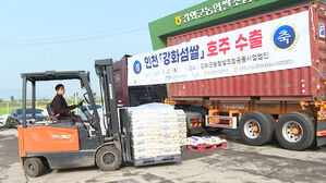 K푸드 열풍에…인천 농산물 수출도 '탄력'