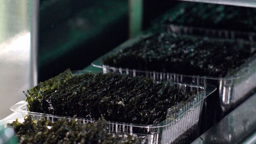 날개 단 K-김…올해 수출 역대 최대 기록