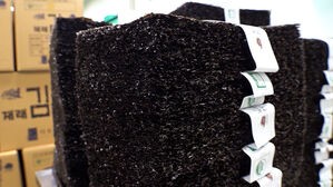 마른김 가격 '역대 최고'&hellip;'금김' 한 장 150원 첫 돌파