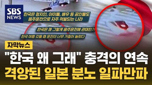 자막뉴스 김성화_일본 모녀 사고 일본 반응