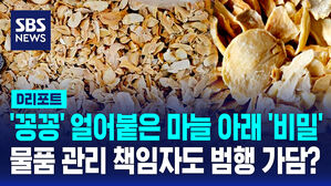 [D리포트] '꽁꽁' 얼어붙은 마늘 아래 숨은 '비밀'…물품 관리 책임자도 범행 가담?