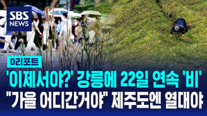 [D리포트] 이제서야? 강릉에 22일 연속 내린 '비'…"가을 어디 간 거야" 제주도엔 열대야