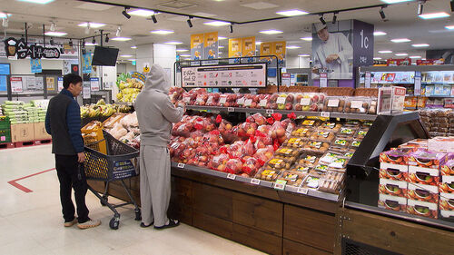 늦장마에 긴 연휴 먹거리·여행물가 고공행진