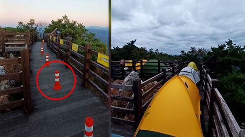 "민폐 캠핑족들" 분노 폭발…전망대 곳곳 생긴 변화들