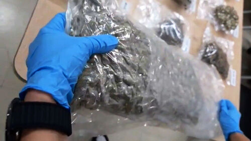 "건당 500만 원" 솔깃한 제안…친구와 태국서 벌인 짓