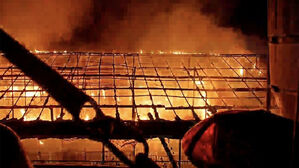 용인 돼지농장 화재로 돼지 200여 마리 폐사…인명피해 없어