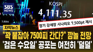 [자막뉴스] "꽉 붙잡아 7500피 간다?" 깜놀 전망…'검은 수요일' 공포는 여전히 '덜덜'