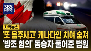 [자막뉴스] '또 음주 사고' 캐나다인 치여 숨져…'방조 혐의' 동승자 풀어준 법원