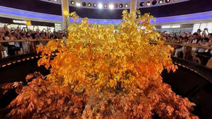 잎사귀 9만여 개 '황금 나무'…"나도 볼래" 문전성시