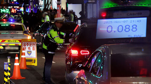 엿새 지났는데…일본인 관광객 숨진 곳에서 또