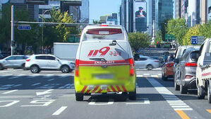 '응급실 뺑뺑이' 방지법에 응급의학과 '부글부글'