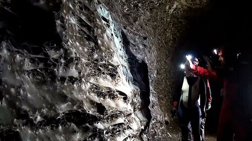 '세계 최대' 거미줄 발견…30평대 아파트 규모