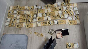 100억대 투자사기 조직 140명 무더기 검거…조폭도 포함