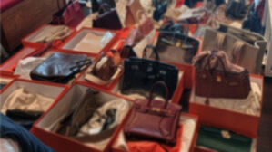 체납자 집에서 쏟아진 '오렌지색 상자'…국세청·지자체, 합동수색