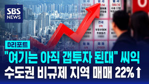 [D리포트] "여기는 아직 갭투자된대" 씨익…수도권 비규제 지역 매매 22%↑