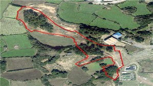 "약초 재배" 속여 제주 문화재 인근 나무 1천200여 그루 무단 벌채