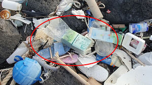 쓰레기 더미서 나왔다…"오늘 두번째" 얼마나 퍼졌길래