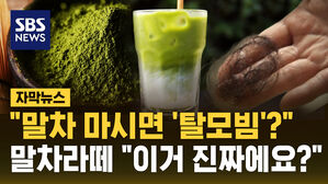 [자막뉴스] 말차 마시고 대머리가 돼..."이거 진짜예요?"