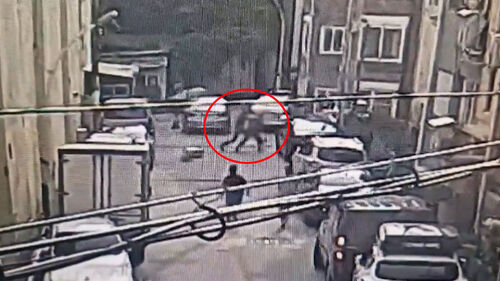 국제탁송화물에 필로폰 36㎏ 밀반입한 일당 검찰 송치