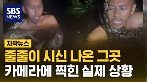자막뉴스 김성화_비단뱀 습격
