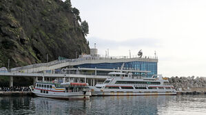 울릉도 뱃길 2주간 끊어질 위기…주민들 '발 동동'