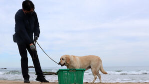 포항 해안서 마약 의심 물질 3개째 발견…해경·군 합동 수색