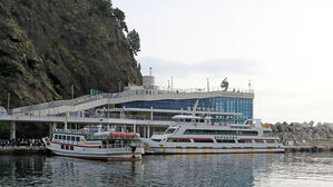 울릉도 뱃길 2주간 끊어질 위기…주민들 '발 동동'