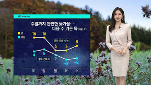 [날씨] 내륙에 짙은 안개…다음 주 서울 영하 3도