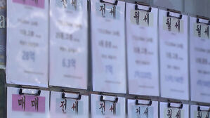 10·15 부동산 대책 한 달…혼란의 부동산 시장 [뉴스토리]