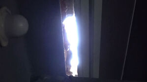 "잠자다 기절초풍" 공포의 집…다들 도망치듯 떠나도