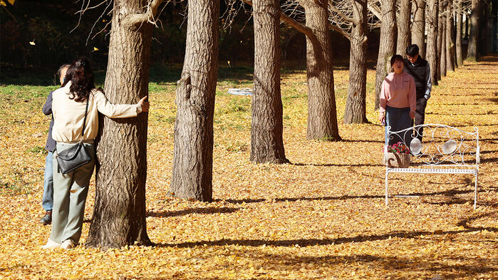 중부지방 중심 '비'…서울 최고 17도