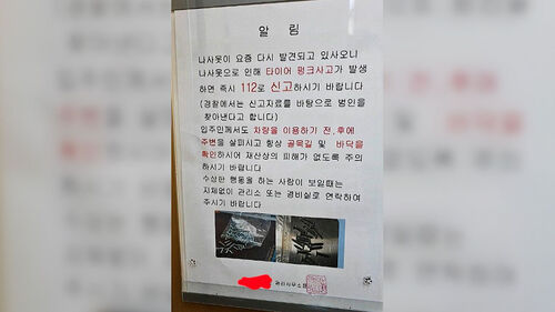 "이게 뭐야?" 주차장 갔다가 깜짝…CCTV 속 섬뜩 모습