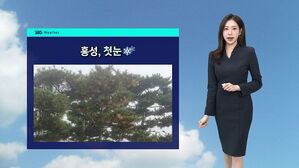 [날씨] 작년보다 9일 빠른 홍성 '첫눈'…내일까지 영하권