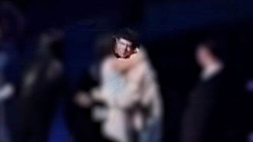 "BTS 진 목에 입술 닿았다"…강제 추행 여성 결국