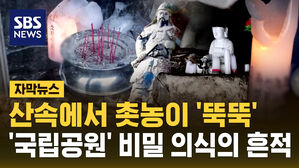 [자막뉴스] "국립공원 맞나?" 부산의 상징 금정산에 대형 불상 난립